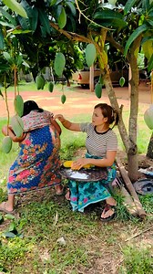 1.8M views · 7.5K reactions | มดเเดงกัดหลังฮาสุดๆ An ant bit my back. Please help me look at it. #funny #reelsfypシ #fb #fb #haha #คลิปไวรัล | Chatyada Boonpeang | Facebook