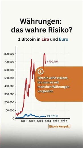Währungen: das wahre Risiko? | 1 Bitcoin in Lira und Euro