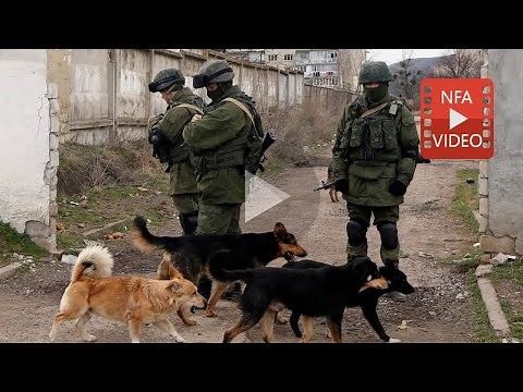 Three team members helping animals in Ukraine have been CAPTURED BY THE RUSSIANS!