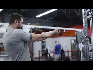 High Cable Biceps Curl