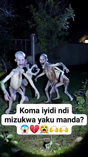 415K views · 2.3K reactions | "Mbali zakuno tikukanika kugona chifukwa cha video iyi' iyidi ndimizukwa? Daily Net | Daily Net | Facebook