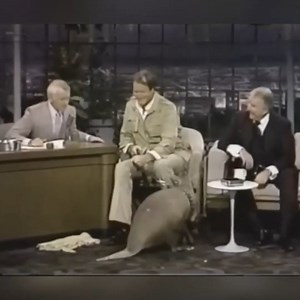 1.5M views · 32K reactions | I Can't Stop Laughing 藍 - The Best of Johnny Carson | Funny Talk Show 70s 80s | Facebook