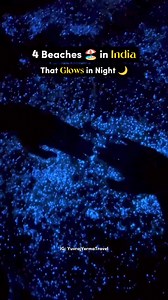 Bioluminescence beaches of India 🌊 Have you started following @tripzilla.india yet? We share travel guides and inspiration everyday! Visit TripZilla.in for more! #bioluminescence #beachesofindia #beach #travelindia #tripzilla #tripzillaindia | TripZilla India