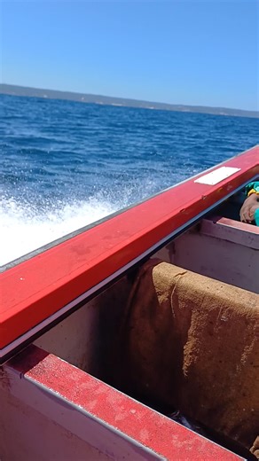 Wimpy (@wimpycommercialfishing)’s videos with Whatever It Takes(抖音DJ版) - 海潮哥