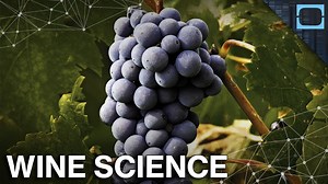 Wine Chemistry | Science Facts