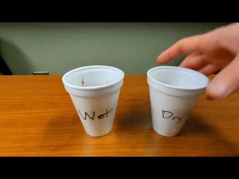 7.6 CS Lesson 3 Station 3 Setup