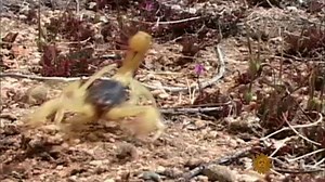 82K views · 1K reactions | On this week's CBS Sunday Morning:...