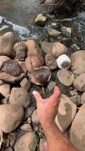 #BalliBotMogis #TrendingReels #TrendingReels #Foryoupage ##FYP #FYP #ViralTikTok #MillionViews #TechMagic #SmartBot #AITrend #RobotVibes #Innovation