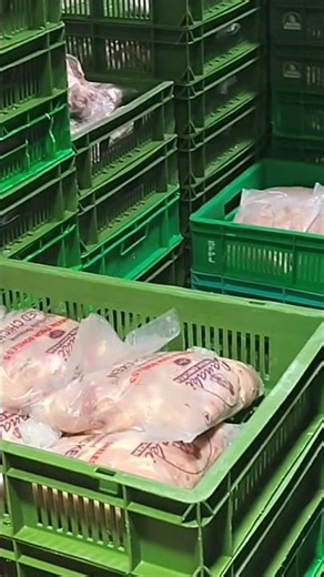 Chicken Packing & Loading for Delivery! |Poultry Farm Daily Routine🚚