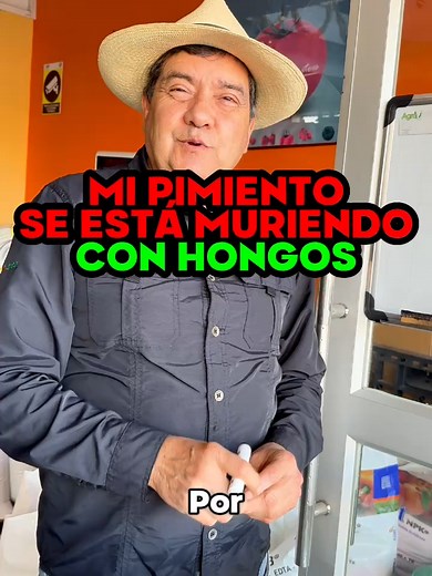 Control de Hongos en Pimientos: Consejos Esenciales