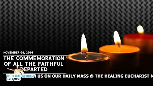 1.4K views · 91 reactions | Please like and follow our Social Media: The Healing Eucharist Twitter https://twitter.com/EucharistTVMass The Healing Eucharist YouTube https://www.youtube.com/c/TheHealingEucharistOfficial/videos https://www.youtube.com/channel/UCx9SC3W9_d9HeWmytbjKOQQ | The Healing Eucharist | Facebook