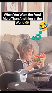 When You Want the Food More Than Anything in the World 🤣🐶 #dogeating #funnydog #dogandkids