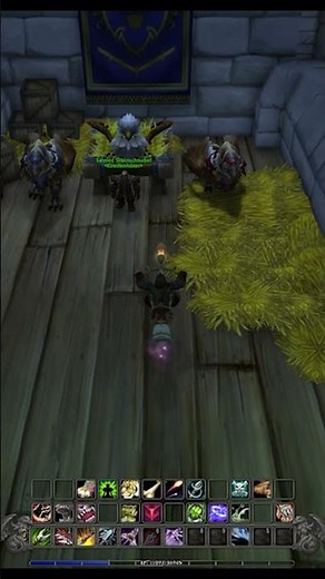 Verirrter spektraler Greif in Sturmwind #hunterpets #worldofwarcraft