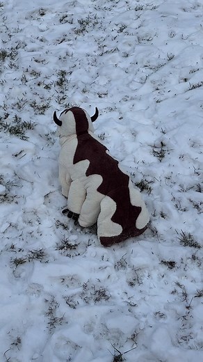 Discover Adorable French Bulldog Moments on TikTok