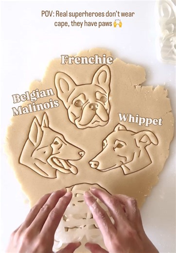 Real superheroes don’t wear cape, they have paws 🐾❤️