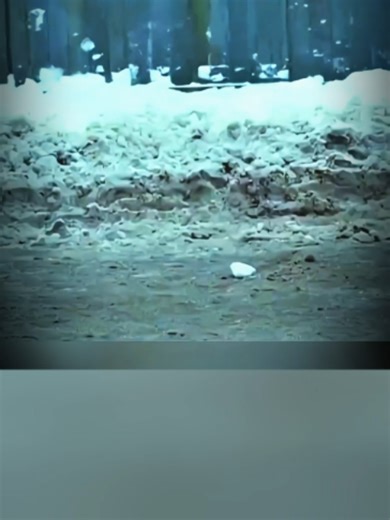 ✈️ Топ-факты об истребителях мира 🌍 (версия 2.0) ⸻ F-22 Raptor (США) – 🦖 «невидимый хищник» • 👻 Первый в мире истребитель 5-го поколения • 🧠 Объединяет данные со всех сенсоров в один «мозг» • 💨 Крейсерский сверхзвук без форсажа (supercruise) • 🎯 Почти невидим для радаров противника ⸻ Su-35S (Россия) – 🐉 «король манёвра» • 🌀 Двигатели с управляемым вектором тяги • 👀 Видит цель на расстоянии до 400 км • 💥 Несёт до 8 тонн вооружения • ⚔️ Смертельно опасен в ближнем воздушном бою ⸻ Dassaul
