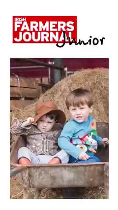 Don't miss the return of IFJ Junior inside this week's Irish Farmers Journal! Written by young farmers for young farmers, this is essential reading for the next generation of farmers in your house. Pick up your copy this Thursday. | Irish Farmers Journal | Facebook