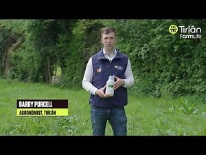 Grazon Pro for Spot Treatment