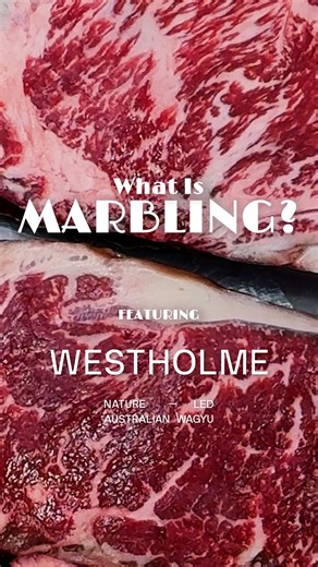 Have you ever had questions about Australian wagyu marbling and grading? Here is some information and best use for each level of marbling of @westholme Wagyu Nature-led Australian Wagyu. Best use and portion size are key when looking at the different levels of marbling, not all beef is created equal so thats why there is best use for each. | Chris Cosentino