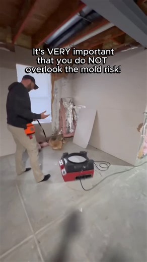 Mold Dog USA on Instagram: "Contractors often assure clients that spray foam insulation is “no big deal” for building efficiency, but when building or renovating, you must not overlook the mold risk. The danger isn’t the foam itself; it’s the airtight seal it creates. If any moisture gets trapped behind the foam (from a tiny leak, poor flashing, or even humidity diffusion), that water is sealed in. The foam prevents the wall assembly from drying, creating a perfect, dark, warm incubator where mo