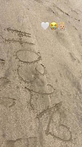 🫡🥹 | Andrea Rodríguez