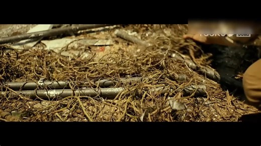 Special forces soldiers were no match for the king cobra; a Tyrannosaurus Rex bit the cobra in half with one bite! 特种兵不敌眼镜王蛇，霸王龙一口将眼镜蛇咬断！ #复活侏罗纪 #JurassicRevival #优酷电影 #youkumovie | Youku Movie