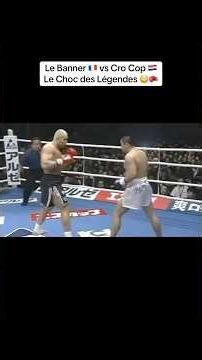 The Banner 🇫🇷 vs Cro Cop 🇭🇷 Clash of Legends 😳🥊 #kickboxing #glorykickboxing