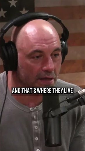 Living In Japanese 24-Hour Cyber Cafes - Joe Rogan Podcast
