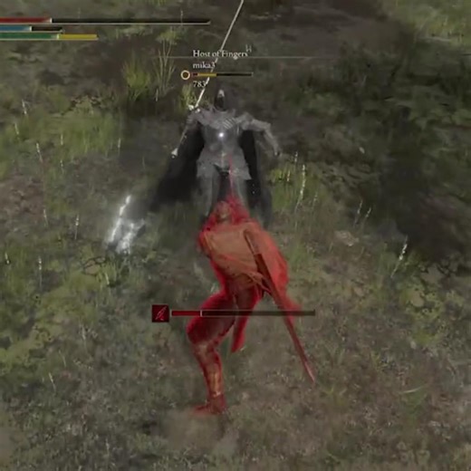 Timing Is Everything #eldenringpvp #gaming #eldenring #swordfighting #eldenringinvasion