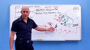 Congenital Myasthenic Syndromes | Dr. Najeeb