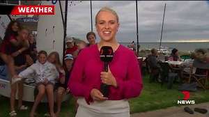 177K views · 4.8K reactions | Ray of Sunshine: This baby wombat over on Tasmania's Maria Island needed some help with an itch he could not quite scratch. Caught on camera, the tiny critter interrupted a hiker’s walk. Let us know who we should feature: m.me/7NEWSAdelaide #7NEWS | 7NEWS Adelaide | Facebook