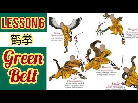 animal kung fu for beginners / learning kung fu at home lesson 6 / crane kung fu hand techniques
