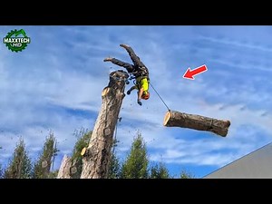 Idiots With Chainsaws: Tree Cutting Fails & Tree Falling on Houses Compilation #6