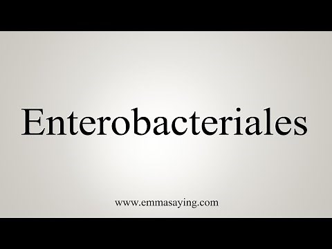 How To Say Enterobacteriales