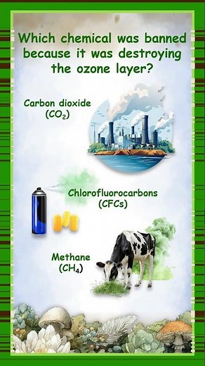 Which Chemical Was Banned to Save the Ozone Layer? 🌍 Earth Day Trivia