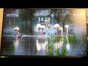 How To Change Brightness Level on Acer Predator XB3?