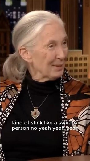 Remembering Dr. Jane Goodall 🐒 | The Tonight Show Starring Jimmy Fallon