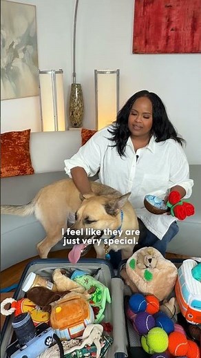 Natasha Rothwell Reminds Us That This Is The Whole Point 🥹 | The Dodo