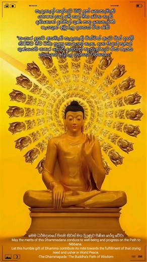 2K views · 631 reactions | The Dhammapada :The Buddha’s Path of Wisdom #buddhism #buddha #buddhaquotes #buddhastatue #buddhateachings #buddhadharma #art #follow #lifestyle #photooftheday #motivation #photo #nature #historyfacts #history #community #heritage #archaeoloynews #archaeologist #archaeology #archaeological #archaeologylife #historylovers #historyinthemaking #historymatters | ධම්ම පදය | Facebook