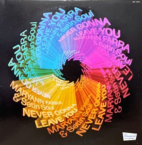 Maryann Farra & Satin Soul - Never Gonna Leave You