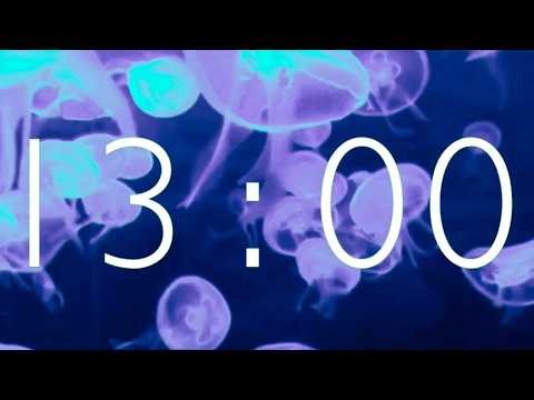 13 Minute Timer with New Soul Music and Jellyfish | Violet Drift