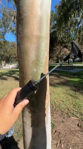 DOING ANOTHER TREES MAKE UP WOW LOOK AT THAT BEAUTIFUL TREE! GORGEOUS!! #asmr #makeup #makeuptutorial #makeupartist #tingles | Twincity1