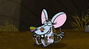 Nature Cat - Moss Mouse / Leaf Moving Machine Mayhem Video | PBS KIDS