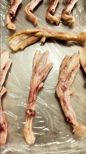 🦆✨ Freeze-Dried Duck Feet – Made with Advanced Freeze Drying Technology