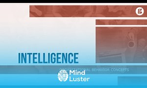 Mind Luster - Learn Intelligence