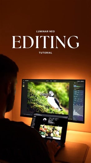 Luminar Neo by Skylum | AI-powered photo editor on Instagram: "Photo editing plays a key role in wildlife shots 📸🦅 Even when the camera captures the perfect moment, a bit of thoughtful editing can help reveal the full beauty and color of the animals — without losing the natural feel. To show you how it’s done, together with photographer @sm.darlington , we’ll walk you through the editing workflow using Luminar Neo and stunning puffin shots. 💡 Save these quick tips from this Reel, or find the 