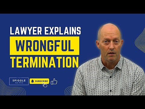 Wrongful Termination Explained: An Employment Lawyer's Guide to Protecting Your Rights