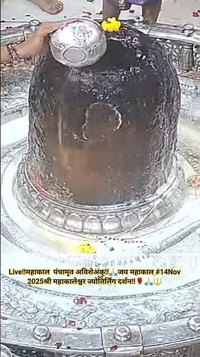 Live!!महाकाल पंचामृत अविशेअक्!!🙏🏻जय महाकाल #14Nov 2025श्री महाकालेश्वर ज्योतिर्लिंग दर्शन!!🌹🙏🏻🔱