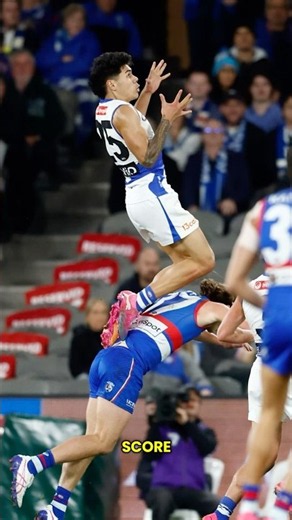 North Melbourne is GLOBAL!! #afl #nmfc #paulcurtis #worldwide
