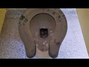 #60 Vintage toilets at an old school.